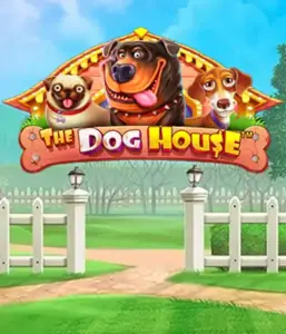 From Pragmatic Play comes The Dog House adventure, offering a delightful journey among playful pups. Engage in features such as free spins, aimed at delivering entertaining gameplay. Ideal for animal enthusiasts a lighthearted atmosphere with a chance for big wins.